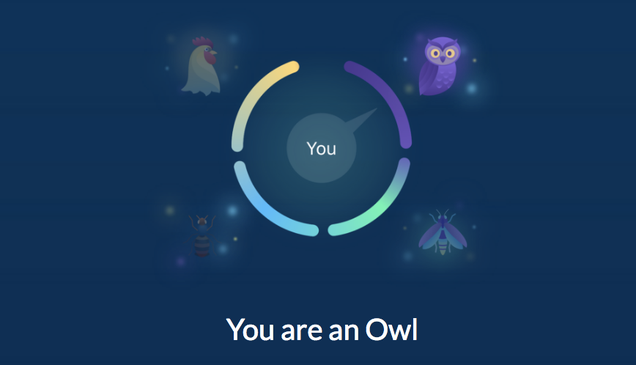 My DNA test results from SlumberType. I’m an owl. Image: SlumberType